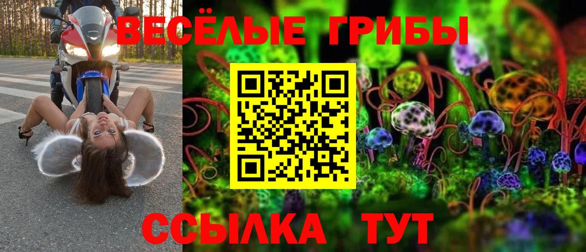 Анжеро-Судженск  Галлюциногенные грибы Magic Shrooms  Вход с VPN 